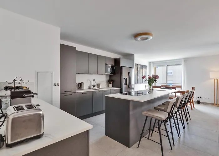 Magnifique Rooftop A 4 * 昂蒂布